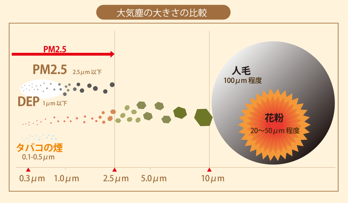 大気塵の大きさの比較